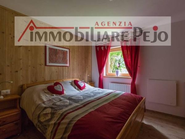 Casa Vacanze affitto Peio (Trento) , € 1.000, 1 camera, 45 mq
