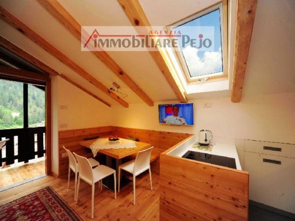 Casa Vacanze affitto Peio (Trento) SALITA al Cucol, € 1.000, 2 camere, 60 mq, Ultimo piano