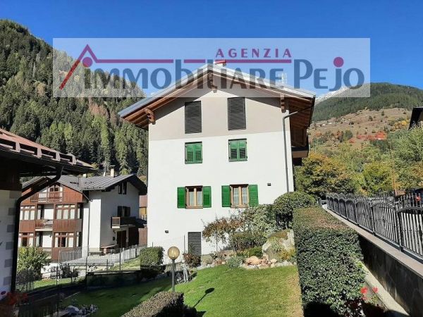 Casa Vacanze affitto Peio (Trento) Via Caserotti, € 1.000, 1 camera, 50 mq, Primo piano