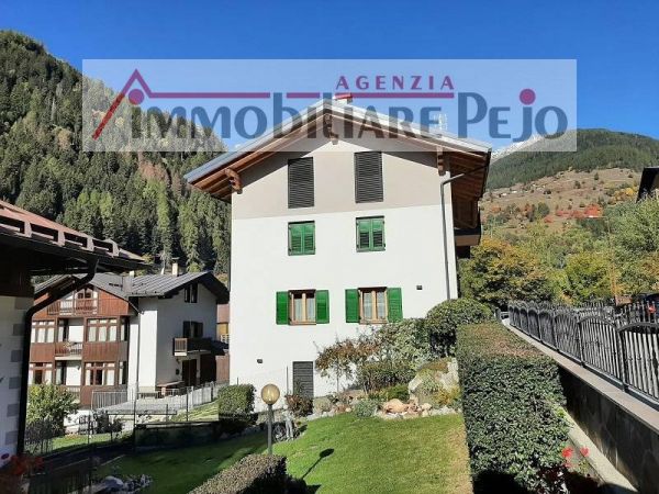 Casa Vacanze affitto Peio (Trento) , € 1.000, 1 camera, 50 mq, Primo piano