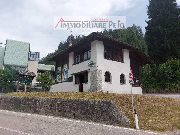Stabile/Palazzo vendita Mezzana (Trento) , € 395.000 (Tratt.), 660 mq, Su più livelli